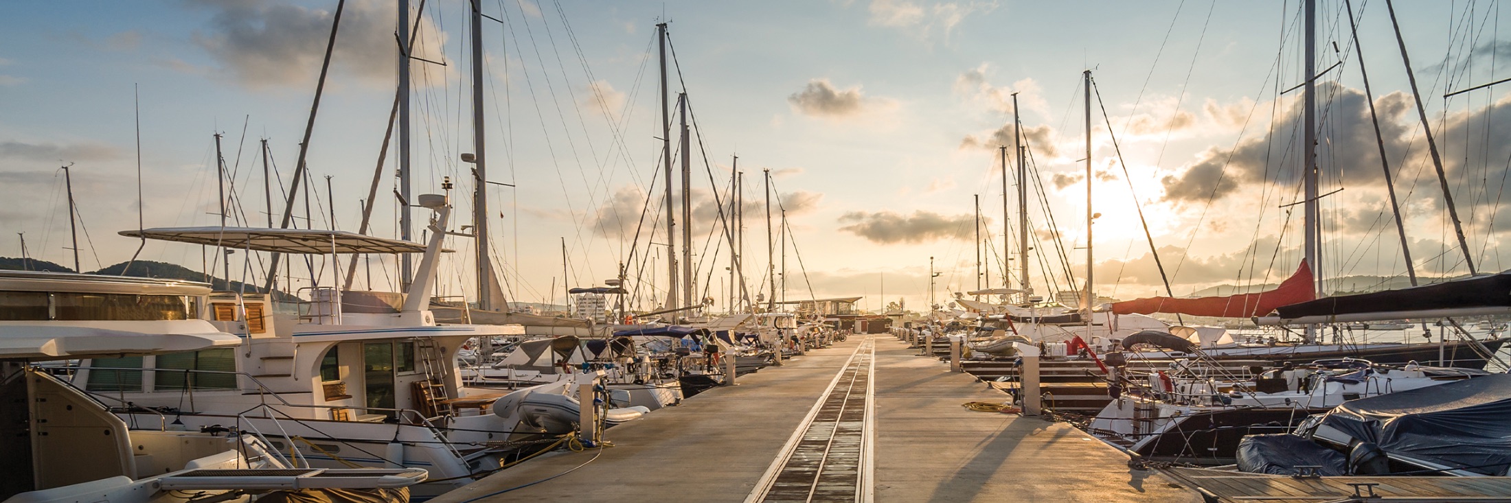 Marina-Header-Image.jpg