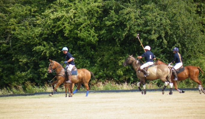 A perfect day out at British Marine Midlands Association Pimm’s & Polo networking event
