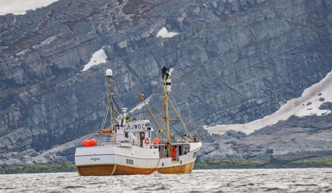 Arksen and 10% for the Ocean supports powerful documentary highlighting the human impact on whales