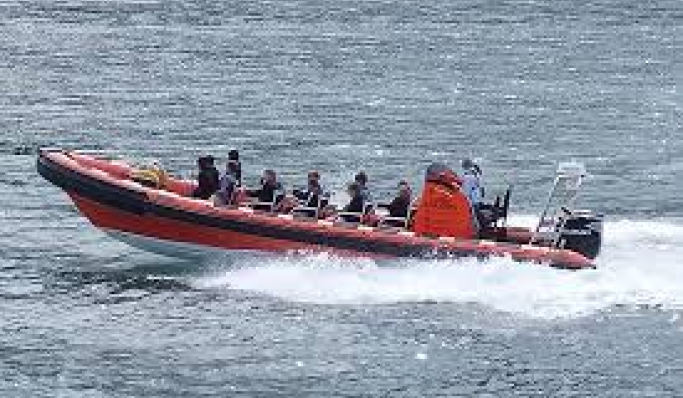 Safety lessons after paralysing injury on Sea Safari vessel