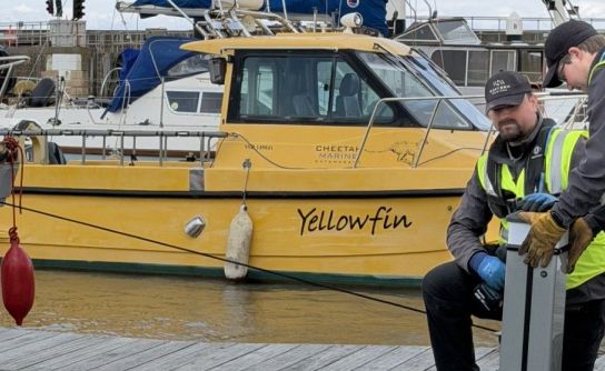 Watchet Marina overhaul gathers pace as major infrastructure works move forward