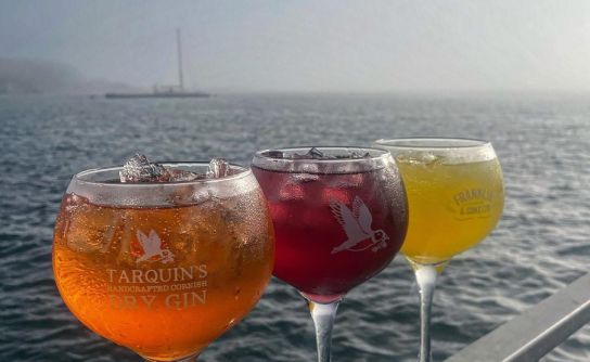 British Marine Professional Services & South West Association's Summer Marine Mixer